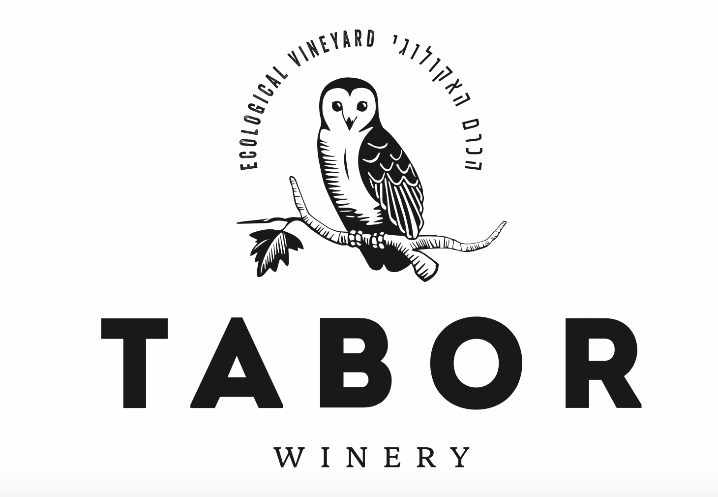 מרוץ הלילה של תלאביב 2023 Tel Aviv Night Run מרוץ הלילה של תל אביב 2023